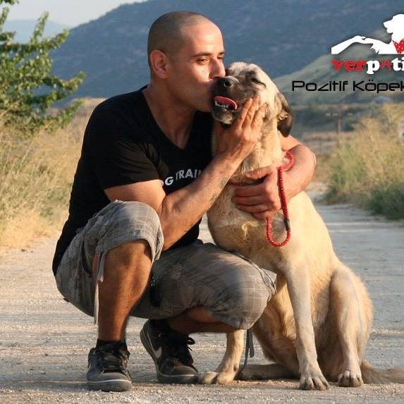 İzmir Pozitif Temel Köpek Eğitimi